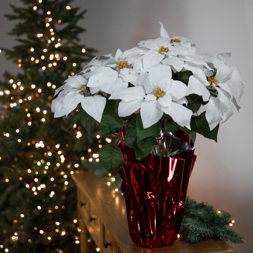 Artificial Christmas Poinsettia Flowers with Wrapped Base - 22" - White
