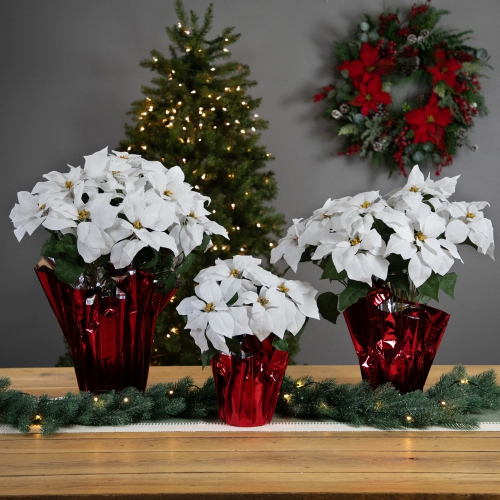 Artificial Christmas Poinsettia in Wrapped Base - 26" - White