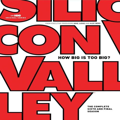 Silicon Valley: The Complete Sixth Season DVD Best Buy Canada