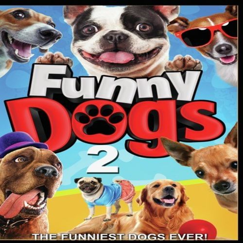 Funny Dogs 2 Best Buy Canada