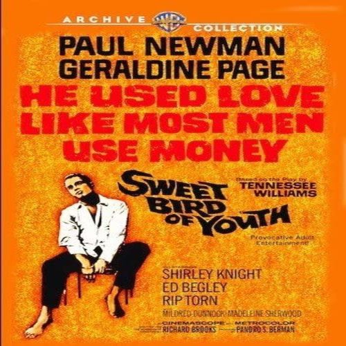Sweet Bird of Youth - - [DVD]