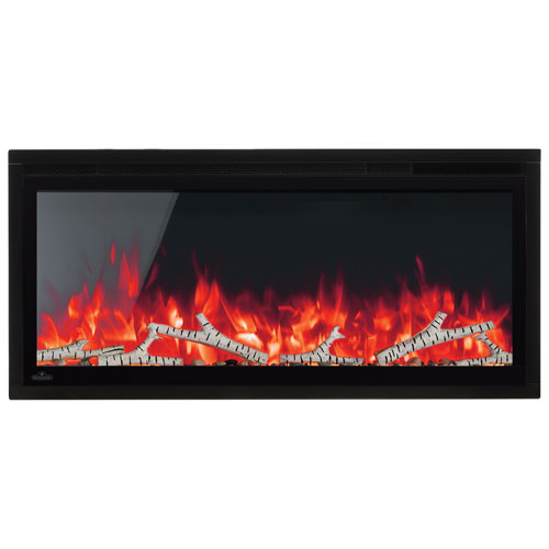 Napoleon Entice 50" Wall-Hanging Electric Fireplace - 5000 BTU - Black