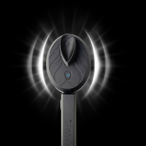 Black Wolf Sonic Scrubber Pro Vibrating Face & Body Brush - Black