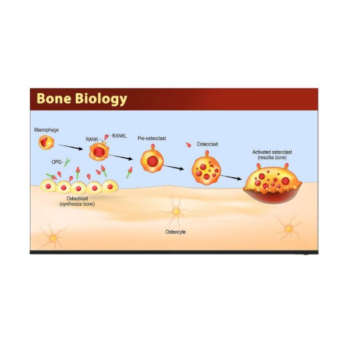 Sharp 86" 4K UHD Class Commercial TV Display - Black