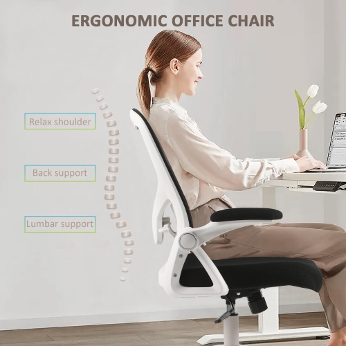 Ergonomic Office Chair with Flip-up Arms, Desk Chair Task Chair with Adjustable Height Lumbar Support and 250LB Load Capacity