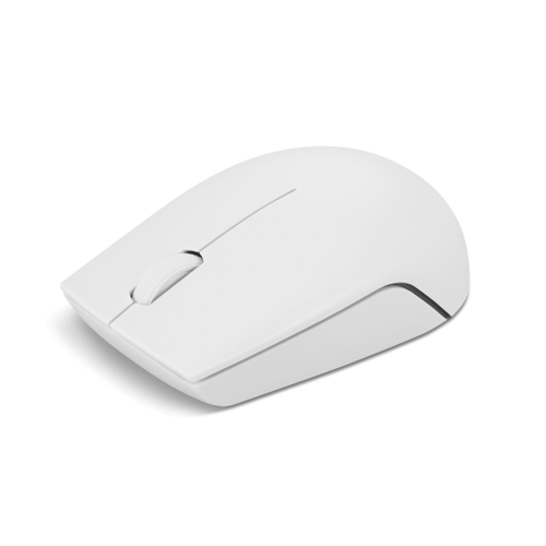 Souris compacte sans fil 300 de Lenovo avec batterie