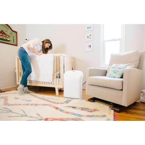 Rabbit Air BioGS 2.0 Ultra Quiet HEPA Air Purifier
