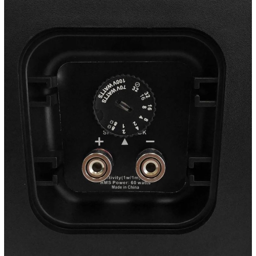 Wall Mounted Speaker 5.25" Black Outdoor/Indoor-70V/100V - 80W