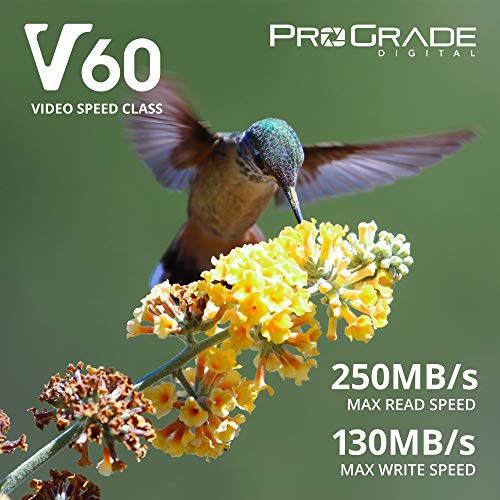SD UHS-II 128GB Card V60 -Up to 130MB/s Write Speed and 250 MB/s Read Speed | for Professional Vloggers, Filmmakers, Photographers & Content Curators