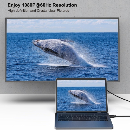 BENFEI HDMI to DVI, Bi Directional High Speed Adapter Cable Support 1080P Full HD