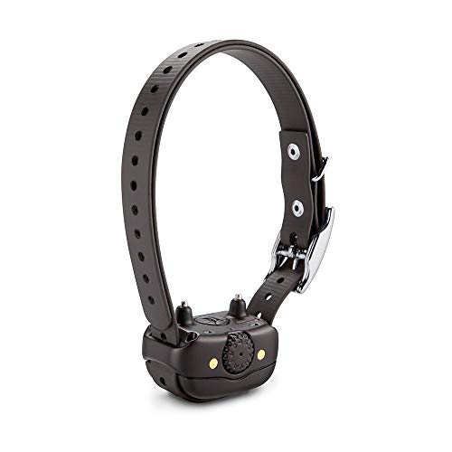 Collier d'entraînement pour chiens rechargeable BarkLimiter Deluxe avec niveaux automatiques pour toutes les races de chiens