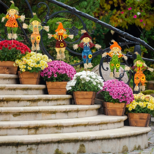 Scarecrow Fall Harvest Picks - 24" - Set of 6