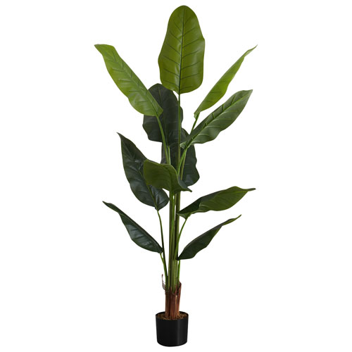Monarch Artificial 59" Indoor Strelitzia Tree Pot
