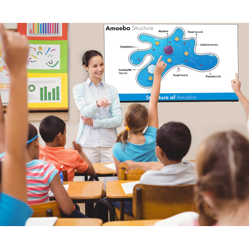 Sharp 50" 4K UHD Class Commercial TV Display - Black