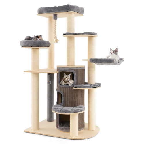 Kitten condo outlet