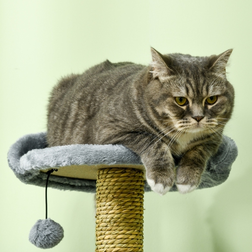 PawHut 54" Cat Tree for Larger Cats Adult with Hammock, Tal Cat Tree Tower with Scratching Post, Condo, Platforms, Play Balls for Indoor Cats, Grey