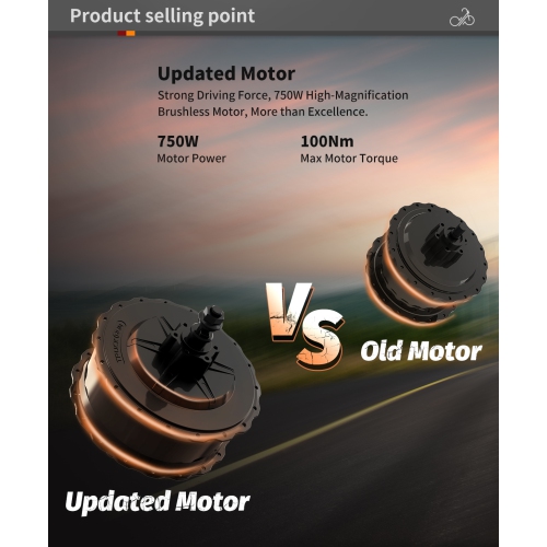 Aostirmotor STORM 750W 20 Inch Fat Tire Electric Bike E-Bike for Adults / 48V 40km/h Mountain Bike