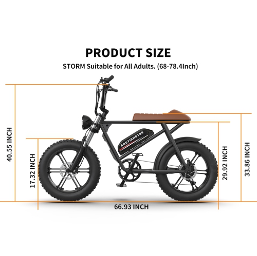 Aostirmotor STORM 750W 20 Inch Fat Tire Electric Bike E-Bike for Adults / 48V 40km/h Mountain Bike