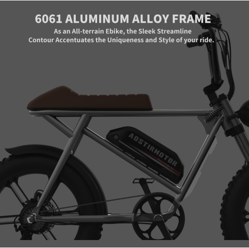 Aostirmotor STORM 750W 20 Inch Fat Tire Electric Bike E-Bike for Adults / 48V 40km/h Mountain Bike