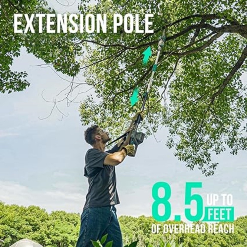 Litheli Cordless Pole Saw,10-Inch 40V 2.5Ah & Charger Included