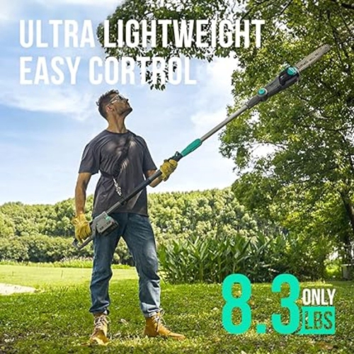 Litheli Cordless Pole Saw,10-Inch 40V 2.5Ah & Charger Included