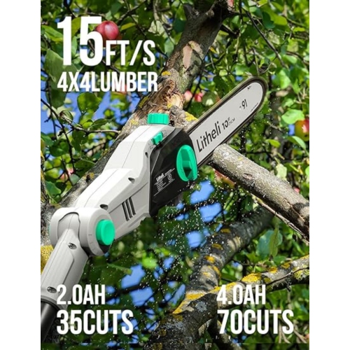 Litheli Cordless Pole Saw 10-Inch with 2.0Ah Battery & Charger