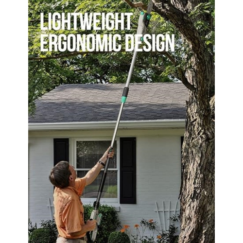 Litheli Cordless Pole Saw 10-Inch with 2.0Ah Battery & Charger