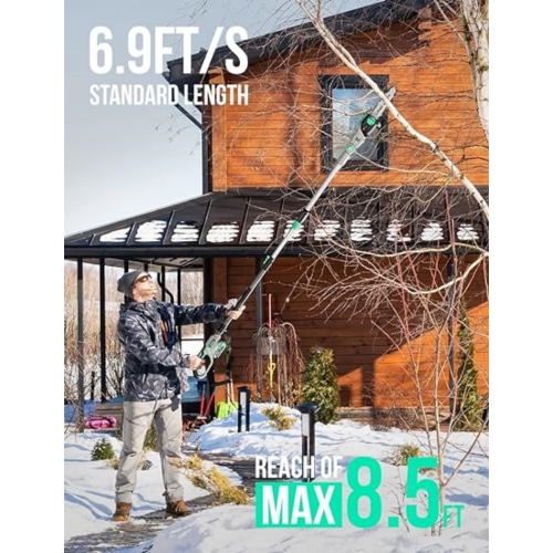 Litheli Cordless Pole Saw 10-Inch with 2.0Ah Battery & Charger