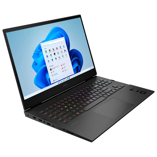 Portable de jeu de 17,3 po OMEN de HP - Noir ombré