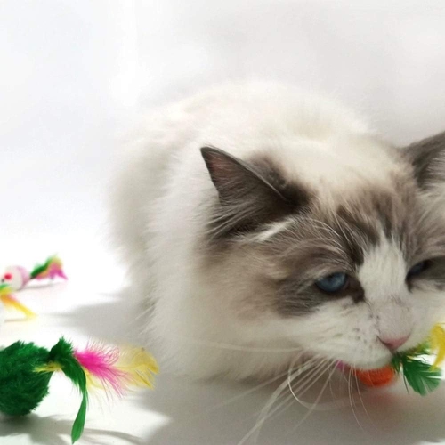 Cat Mice Toys for Indoor Cats 12PCS, 5 Color Variety Mouse Cat Toy Mice Cat Toy Mouse for Cats, Fur Mice Cat Toys Mice Cat Feather Toys with Rattle