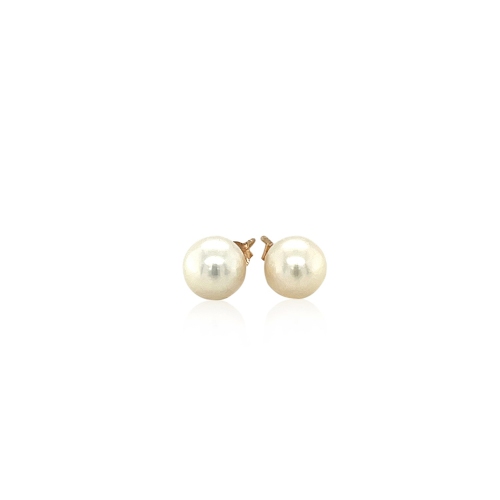 14k Yellow Gold Freshwater Cultured White Pearl Stud Earrings