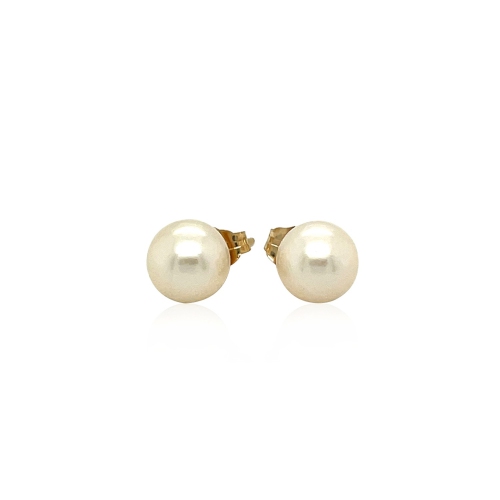 14k Yellow Gold Freshwater Cultured White Pearl Stud Earrings