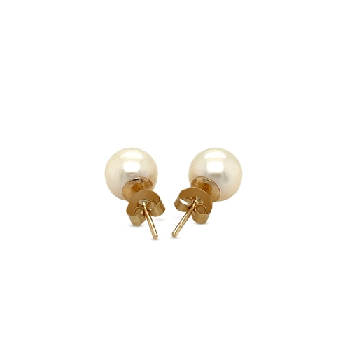 14k Yellow Gold Freshwater Cultured White Pearl Stud Earrings