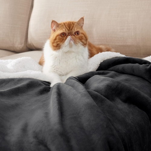 Bedsure Sherpa Fleece Throw Blanket for Couch - Thick and Warm Blankets, Soft and Fuzzy Throw Blanket for Sofa, Charcoal Black, 50x60 Inches