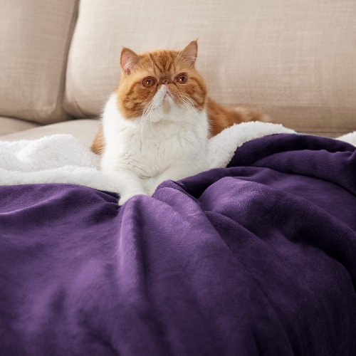 Bedsure Sherpa Fleece Throw Blanket for Couch - Thick and Warm Blankets, Soft and Fuzzy Throw Blanket for Sofa, Purple, 60x80 Inches