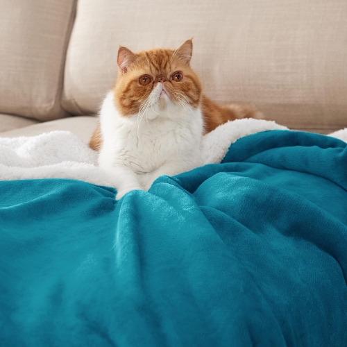 Bedsure Sherpa Fleece Throw Blanket for Couch - Thick and Warm Blankets, Soft and Fuzzy Throw Blanket for Sofa, Teal, 50x60 Inches