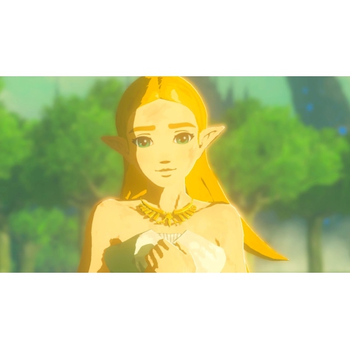 Zelda - Legend of Zelda Breath of the Wild Series - amiibo