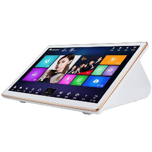 Inandon V10 Pro Karaoke Package with Wireless Microphone Best Buy Canada