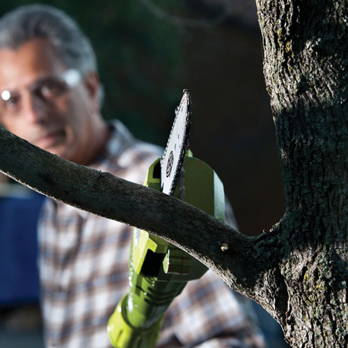 Sun Joe 6.5A 2-in-1 Electric Convertible Pole Chain Saw (SWJ806E)