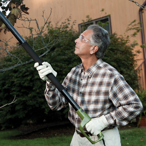 Sun Joe 6.5A 2-in-1 Electric Convertible Pole Chain Saw (SWJ806E)