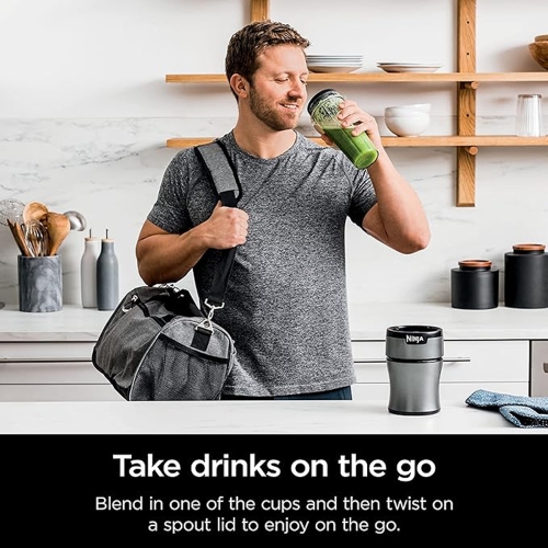 NINJA 700W Personal Nutri-Blender With Ice-Crushing Technology - Silver