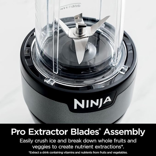 NINJA 700W Personal Nutri-Blender With Ice-Crushing Technology - Silver