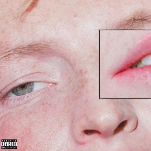 Greeting Committee - Dandelion - [Vinyl]