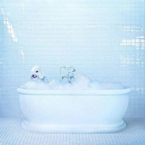 Frankie Cosmos - VESSEL - [Vinyl]
