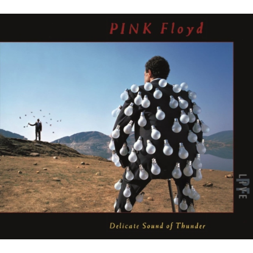 Pink Floyd - DELICATE SOUND OF THUNDER - CD