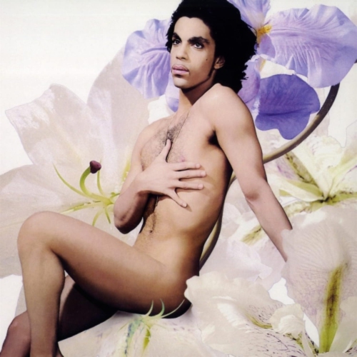 Prince - LOVEs*xY - Vinyl