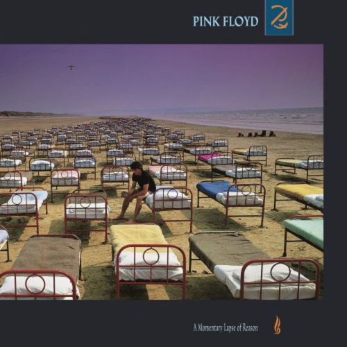 PINK FLOYD RECORDS  Floyd - A Momentary Lapse Of Reason - Vinyl some of the best music ever, but pricey