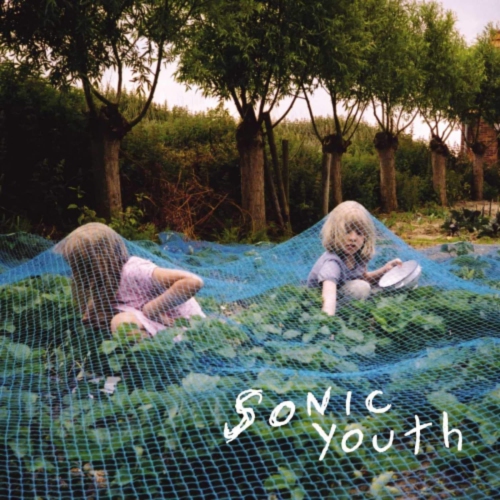 Sonic Youth - Murray Street - [Vinyl]