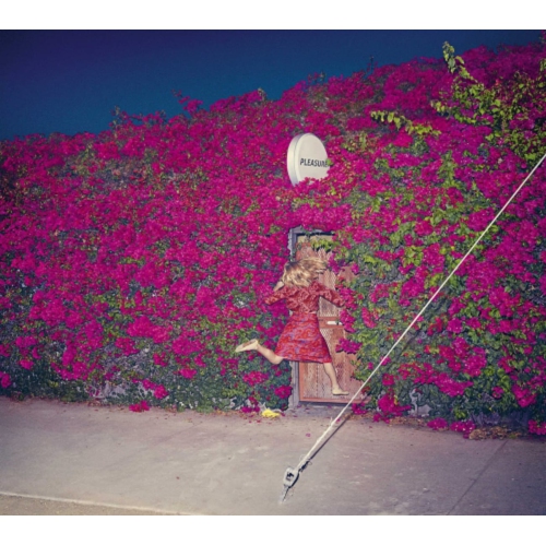 UNIVERSAL MUSIC CANA  Feist - Pleasure [Import] - [CD] 