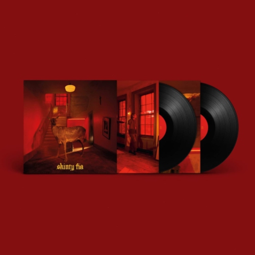 Fontaines D.C. - SKINTY FIA - Vinyl